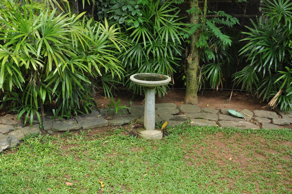 Bed and Breakfast Bangalawa à Nawala Extérieur photo